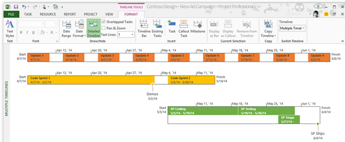 MS Project Server 2016: Chronologies Multiples