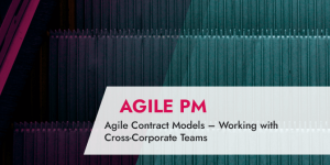 Agile Contract Models – Working with Cross-Corporate Teams