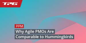 Why Agile PMOs Are Like Hummingbirds