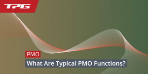 PMO Functions
