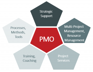 PMO survey 2020 TPG The Project Group