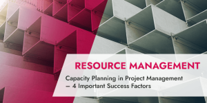 Capacity Planning in Project Management