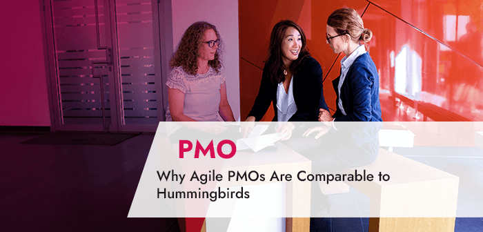 Why Agile PMOs Are Comparable to Hummingbirds