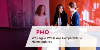Why Agile PMOs Are Comparable to Hummingbirds