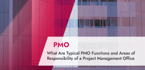 What Are Typical PMO Functions and Areas of Responsibility of a Project Management Office