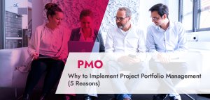 Why to Implement Project Portfolio Management (5 Reasons)