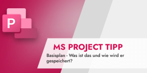 MS Project Basispläne