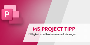MS Project Kostenplanung mit Kostenressourcen