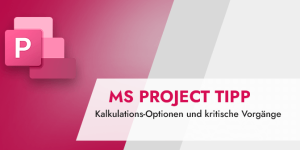 Kalkulations-Optionen und kritische Vorgänge (MS Project Tipp)