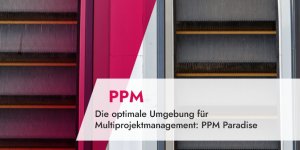 Die optimale Umgebung für Multiprojektmanagement_ PPM Paradise
