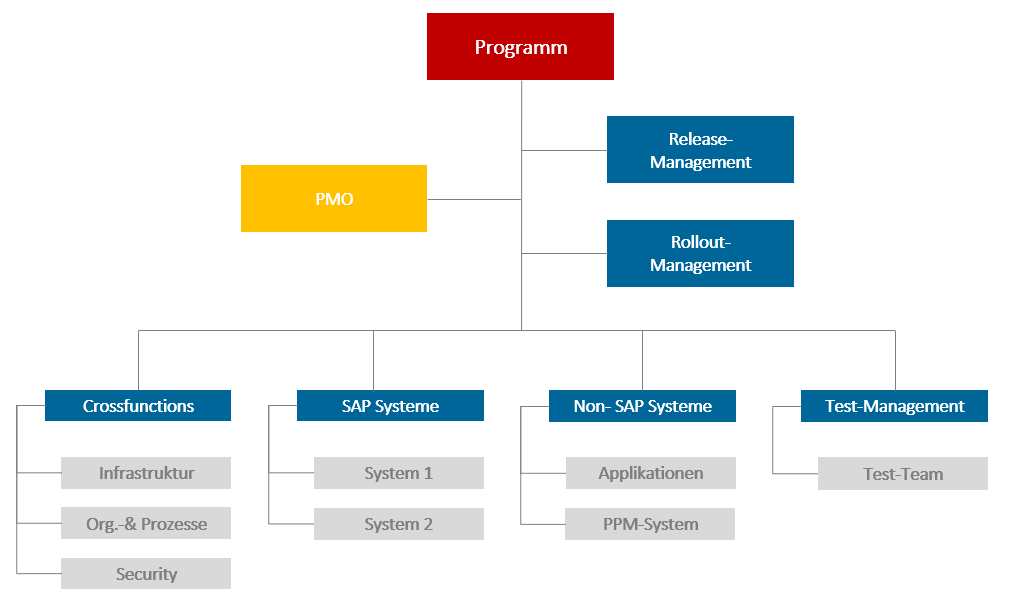 Struktur im Programmmanagement eines IT-Programms