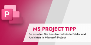 Microsoft Project Tipp So erstellen Sie benutzerdefinierte Felder und Ansichten in Microsoft Project