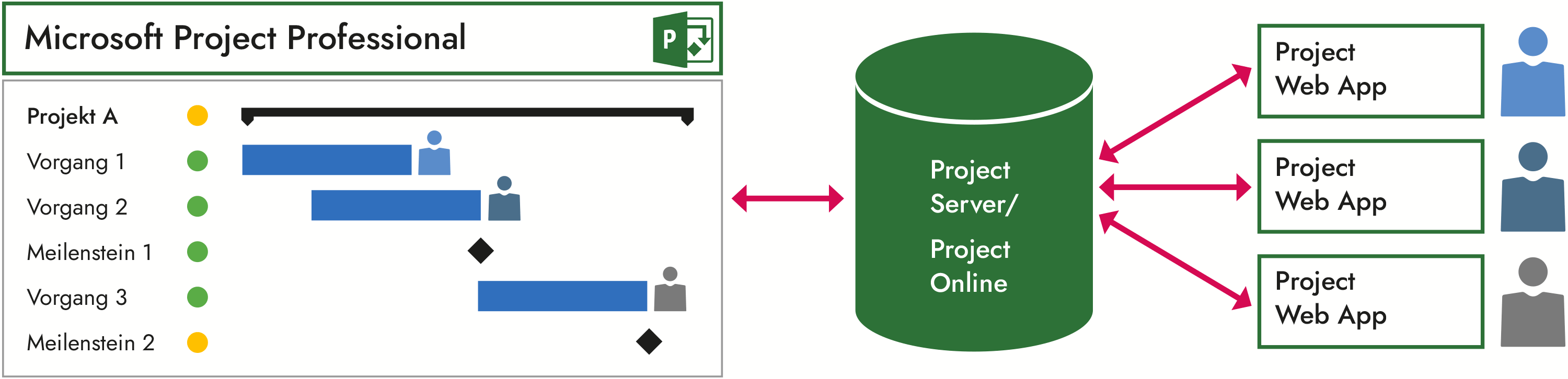 Project Web App