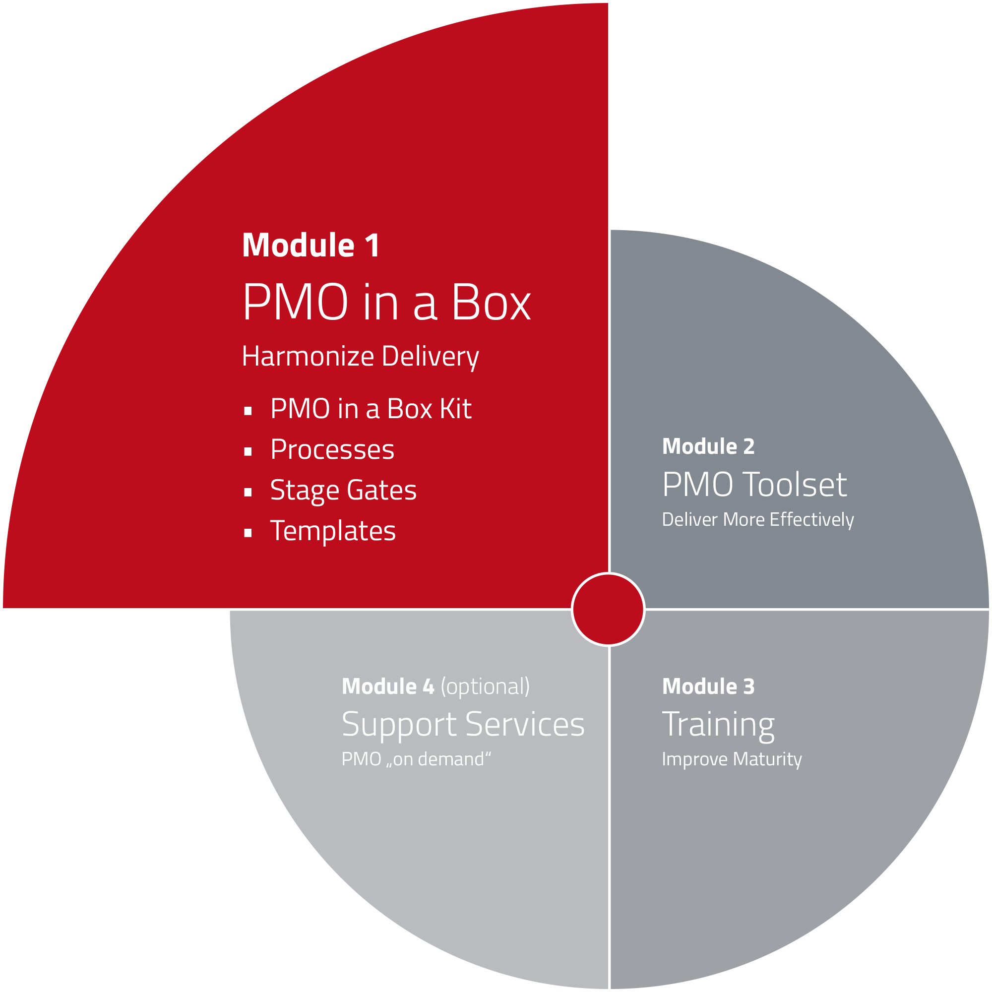 PMO Implementation - Module 1