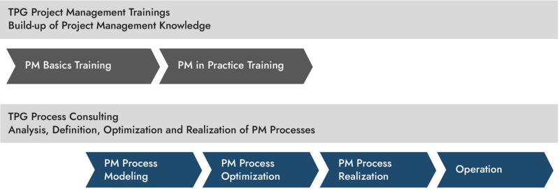 Process Consulting in Project Management